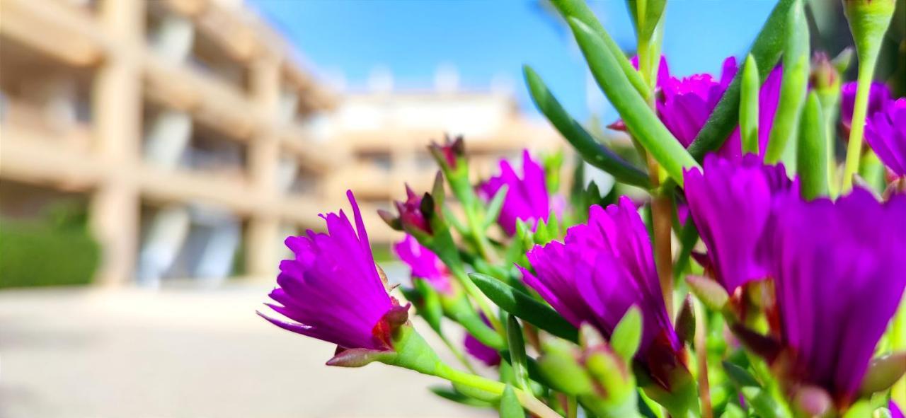 Apartamento Playa Sur By Denia Costa Exterior foto